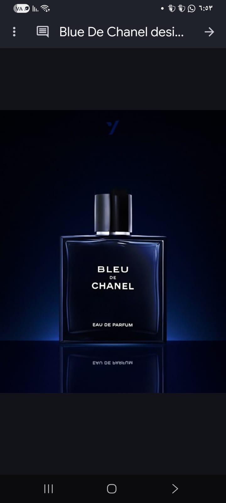 Bleu de Chanel EDP 100ml bottle